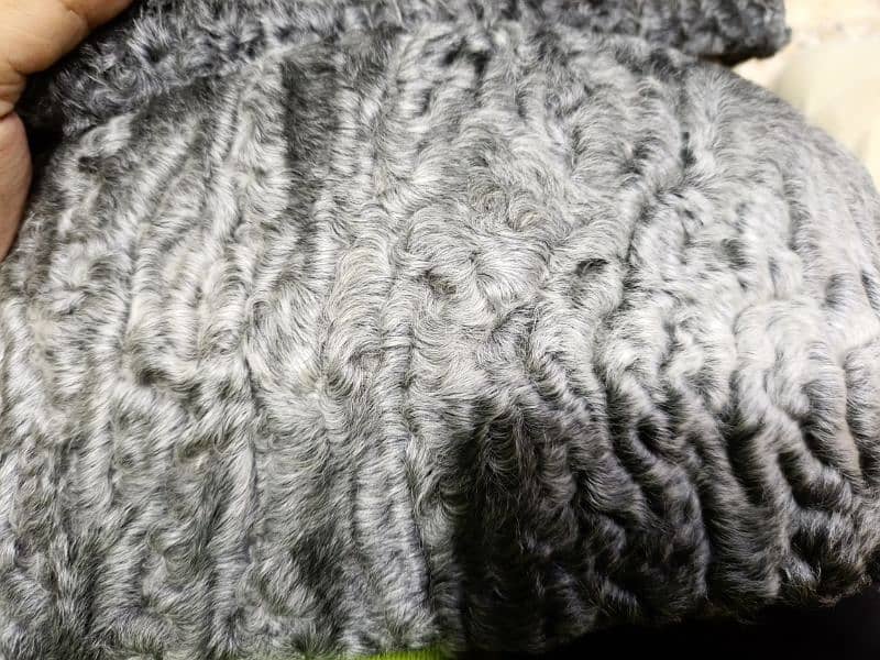 Best Quality Premium Jinnah Cap | Karakul Cap black brown and grey 4