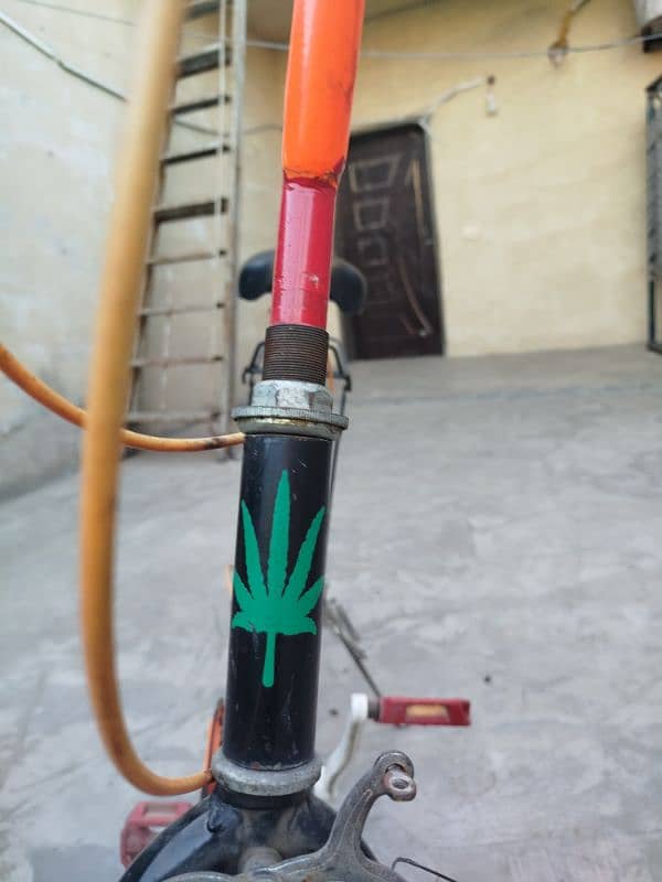 custom cycle for sale 2