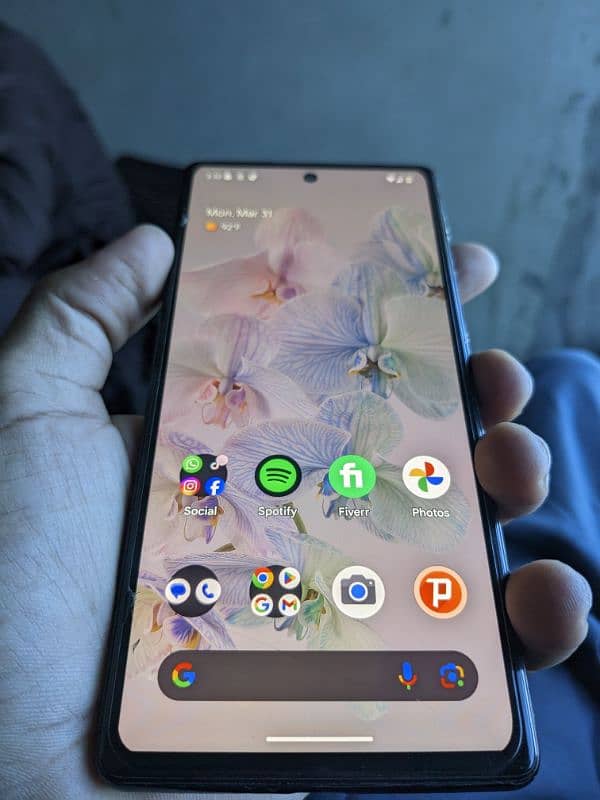 Pixel 6 PTA approved 1