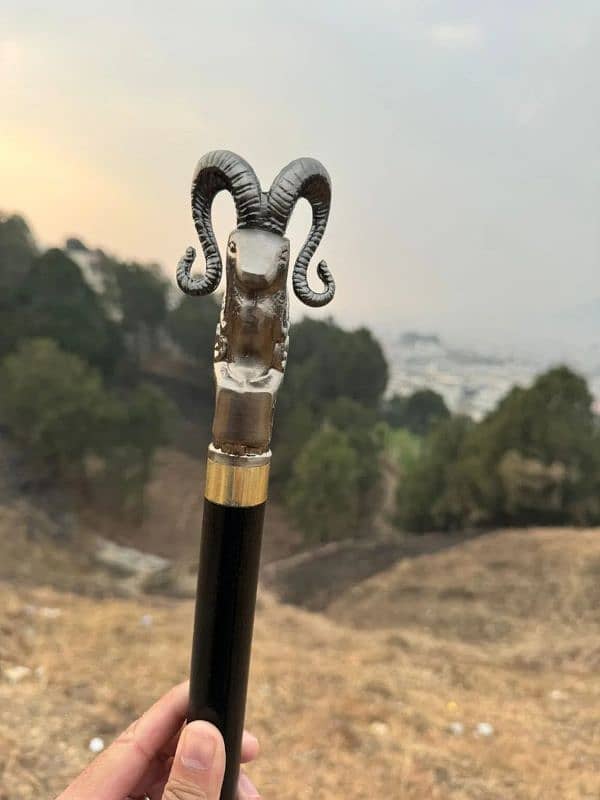 Markhor Stick, Unique Walking Cane, Stick For Every Age Person. 2