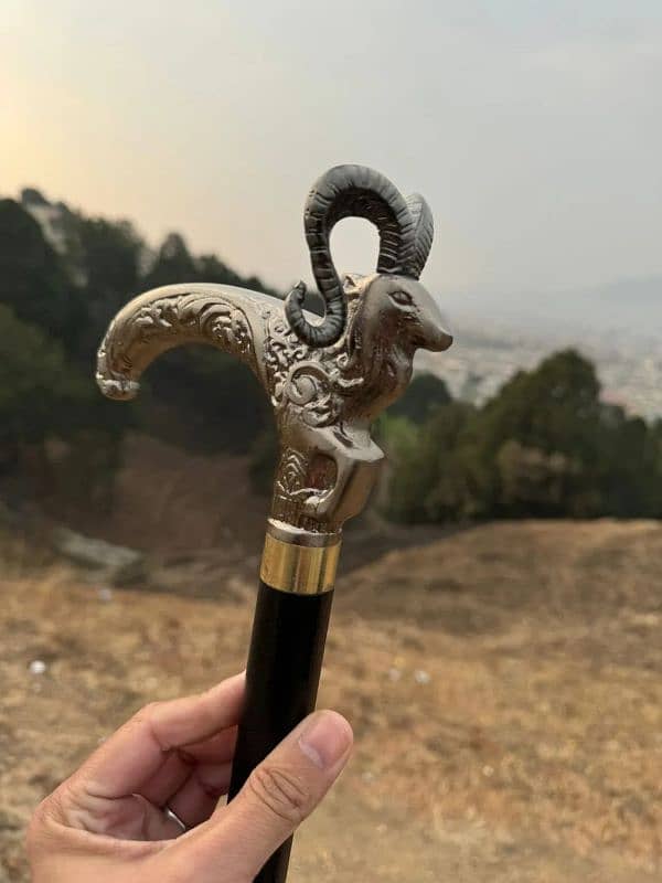 Markhor Stick, Unique Walking Cane, Stick For Every Age Person. 4