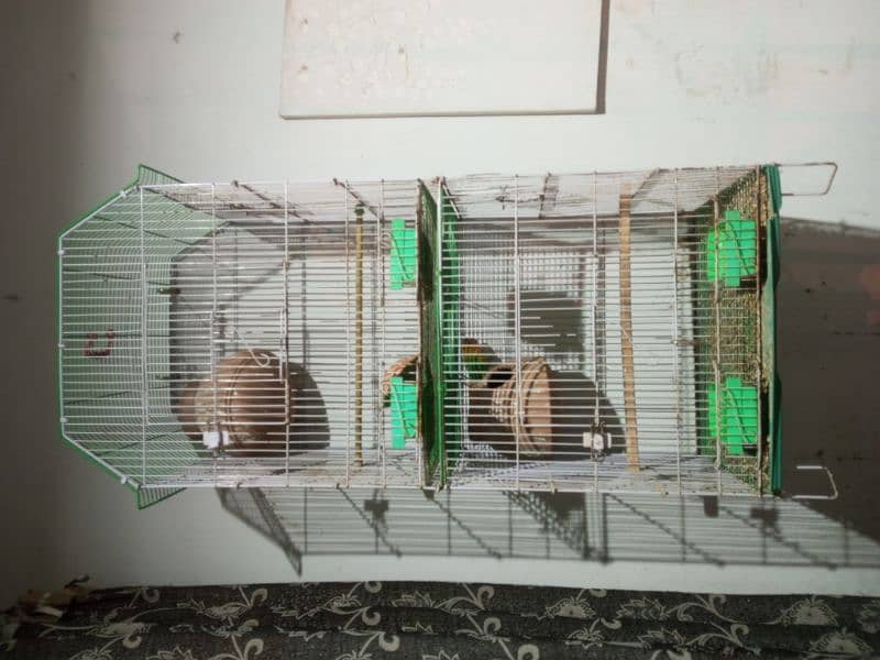 Double portion cage 0