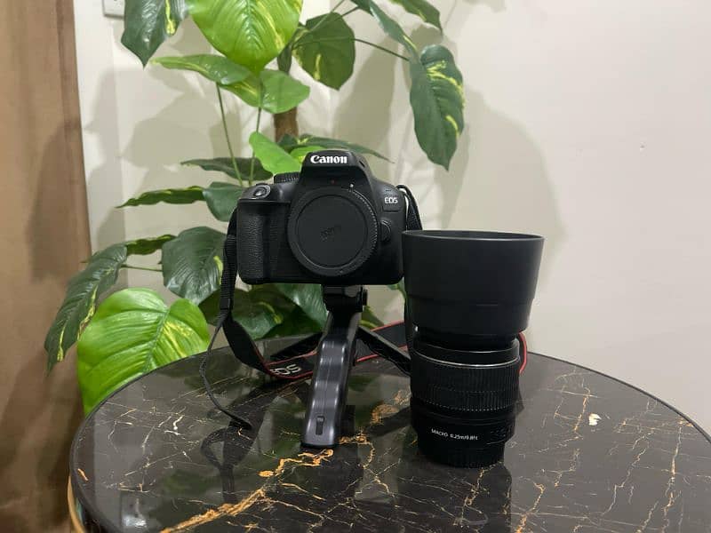 Read Description canon 4000d with all accessories Urgent sale(contact) 1