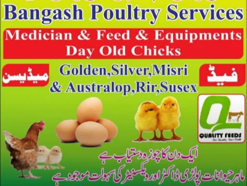 Golden | Misri | Australop | RIR | Foumi | Broiler | White Layer 0