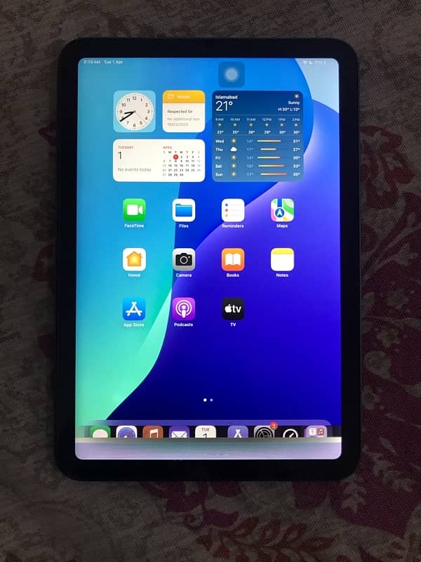 IPAD MINI 6 BOTTOM PIXEL DEAD WORKING PROPERLY 0