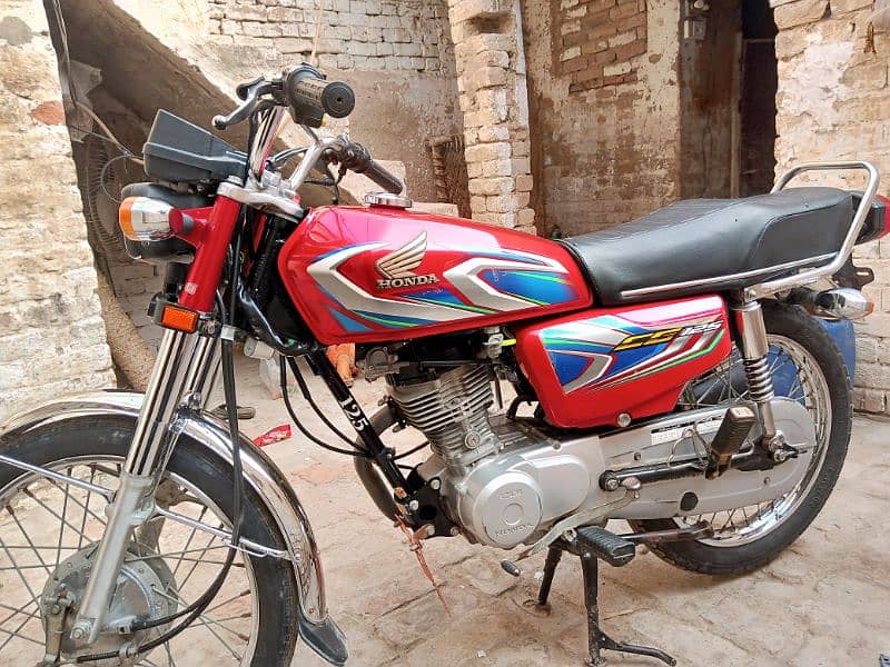 125 bilkul lush ginion 0