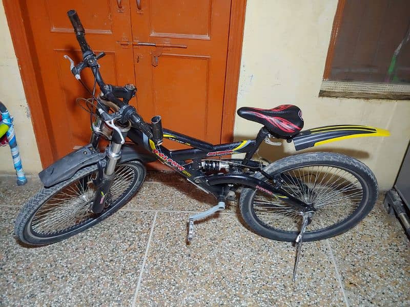 Dolphin River Bicycle 0