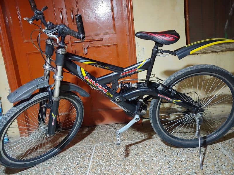 Dolphin River Bicycle 1