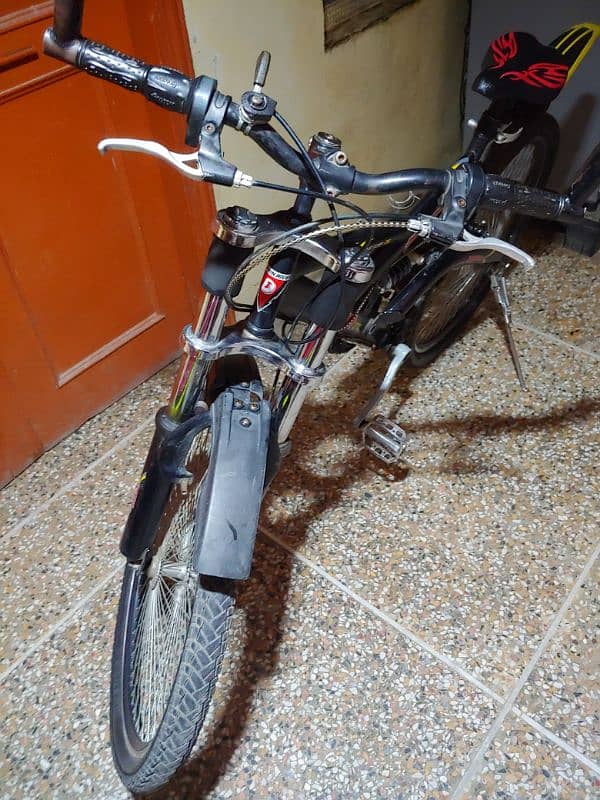 Dolphin River Bicycle 2