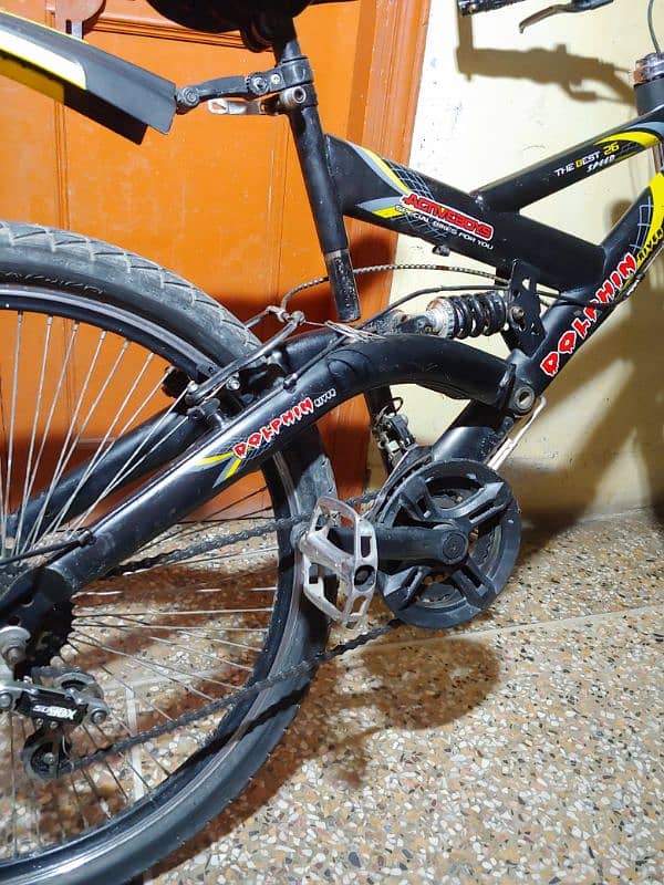 Dolphin River Bicycle 3