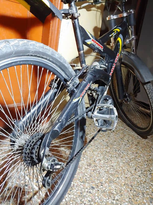 Dolphin River Bicycle 4