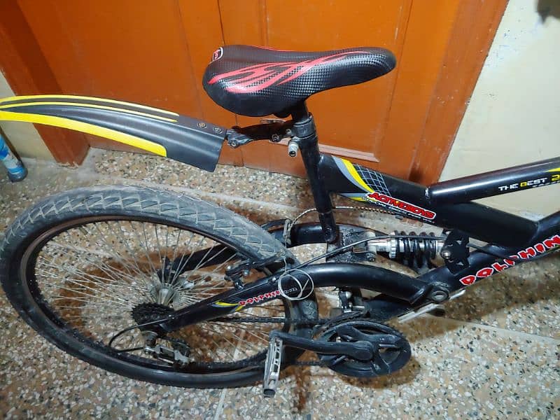 Dolphin River Bicycle 5