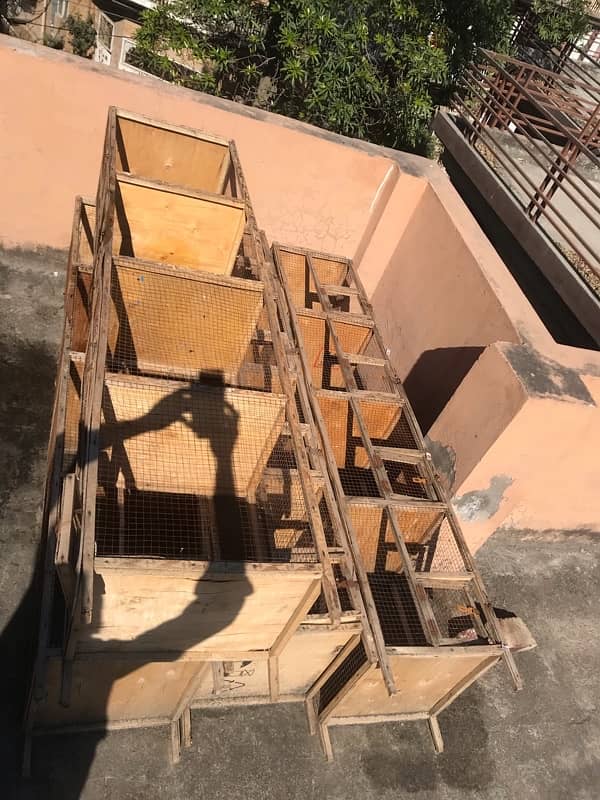 / cages for sale 8