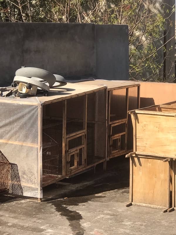 / cages for sale 9