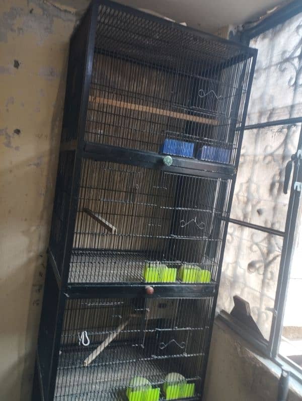 4 portion cage 2