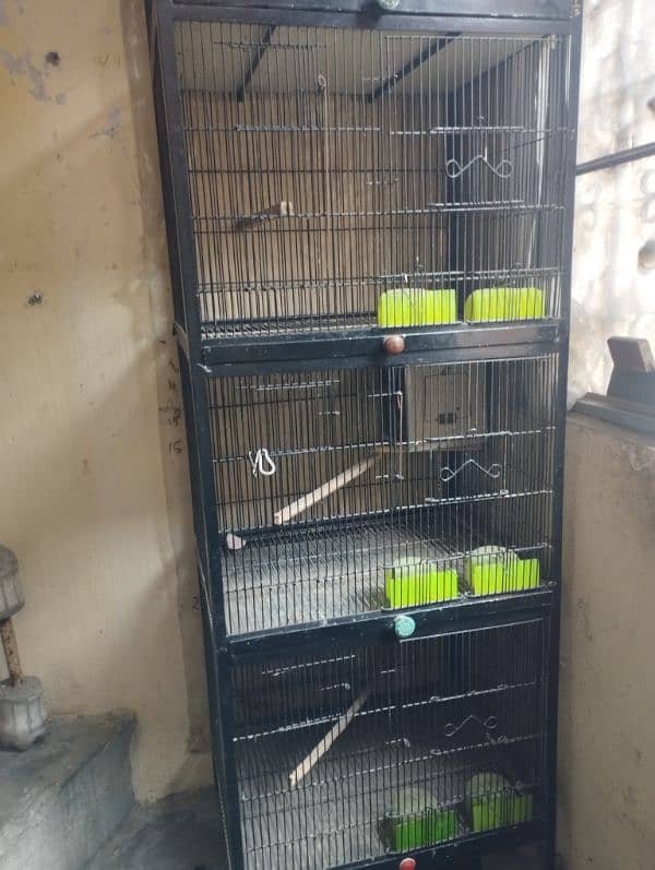 4 portion cage 3