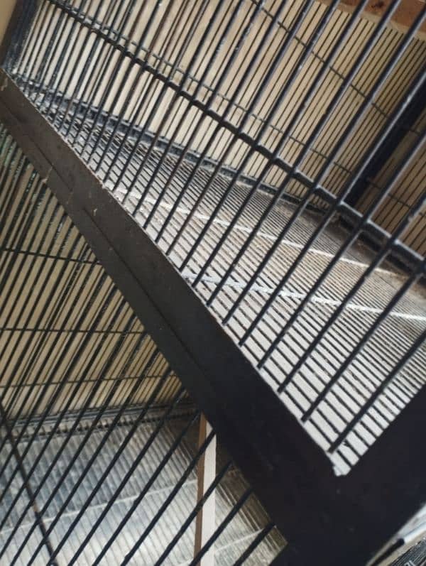 4 portion cage 6