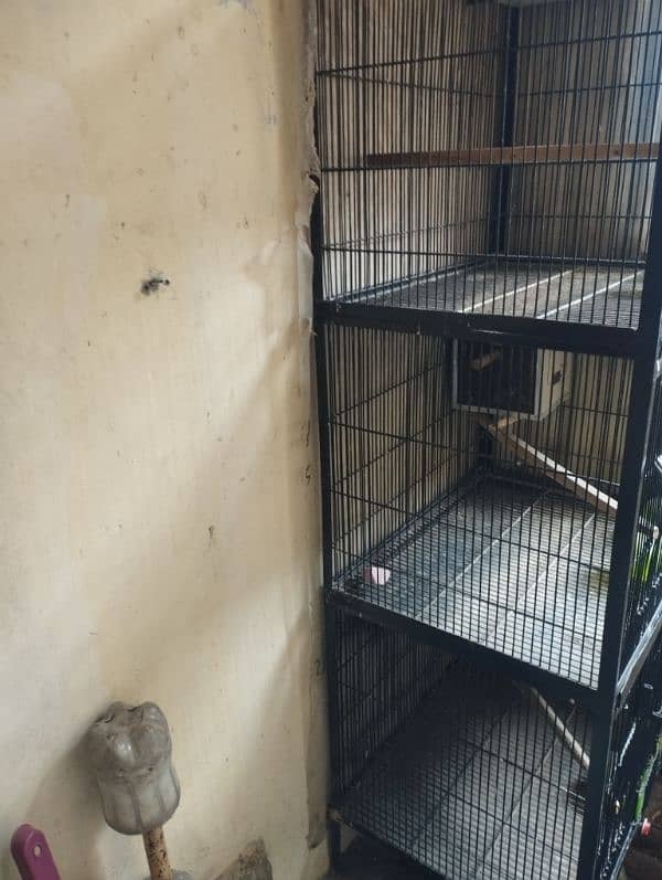 4 portion cage 7
