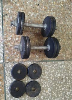 Dumbbells and bench