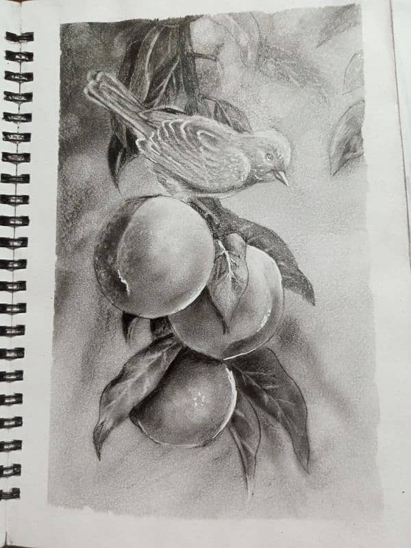 potraits 4