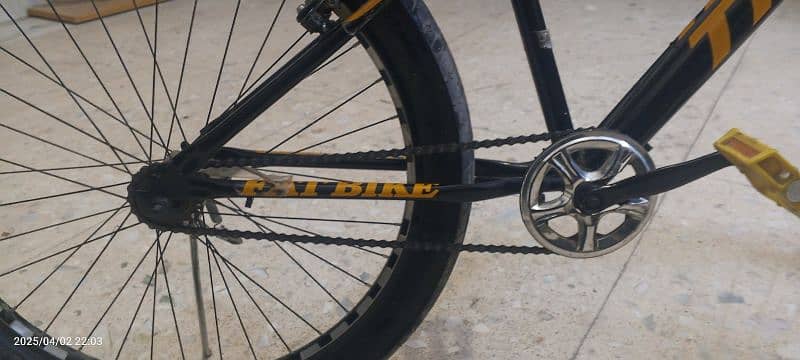 Bicycle 3