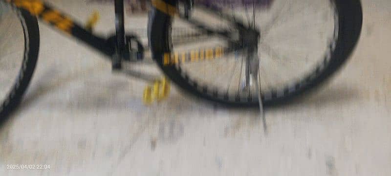 Bicycle 4