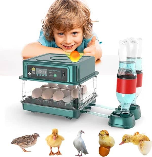 70 eggs intelligent fully automatic incubator dual power 7