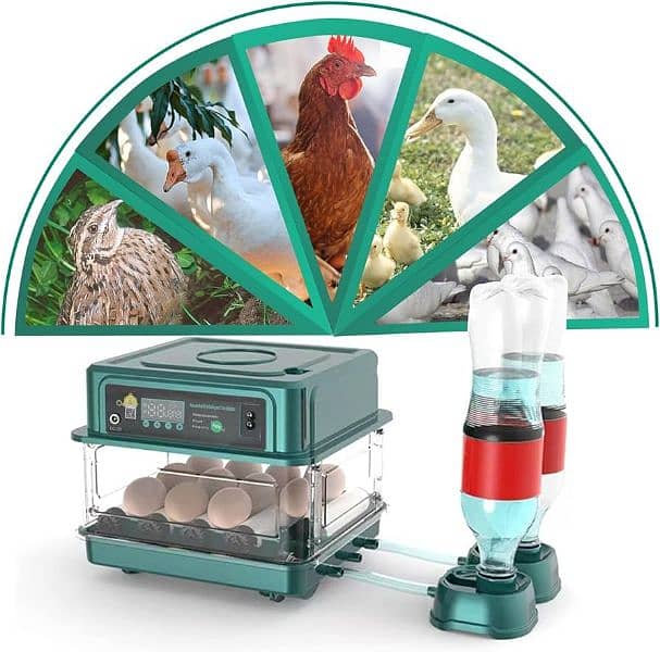 70 eggs intelligent fully automatic incubator dual power 8