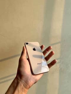iPhone 8 PTA Approved 64 GB