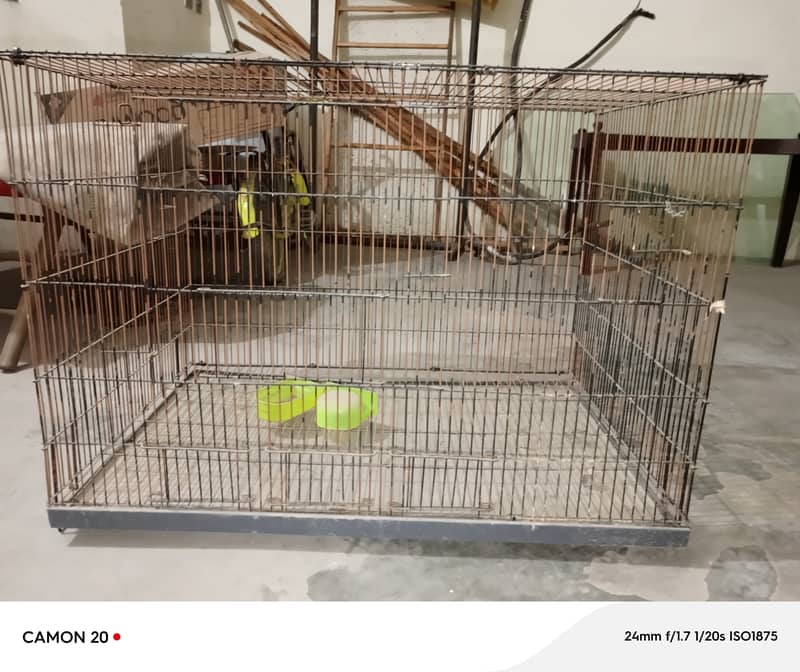 Bird and Hen Cages 1