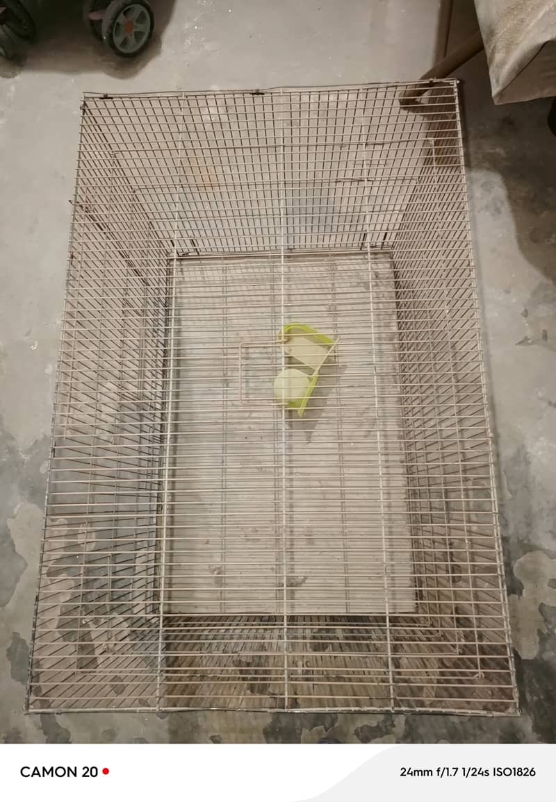Bird and Hen Cages 2