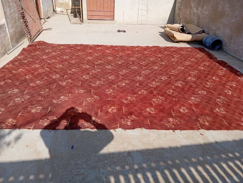 carpets 0