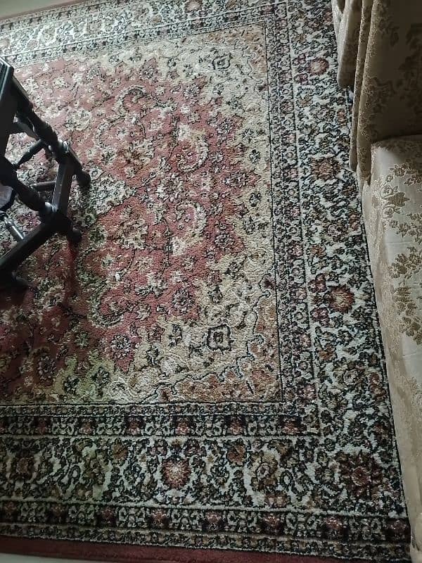 Brand new carpets 1