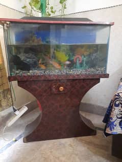 Aquarium - 3 Feet Width x 4 Feet Length