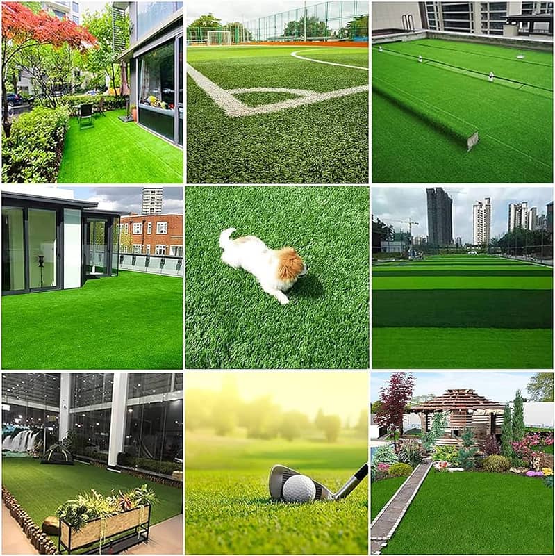 Feild grass -Grass Outdoor-Grass -Sport grass-Sport net-Cricket ground 12