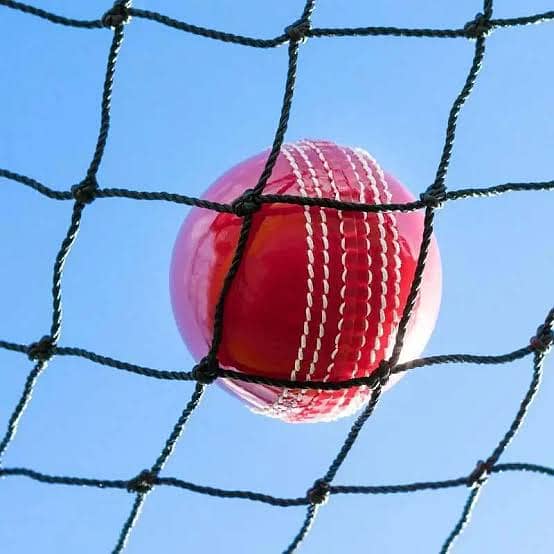 Feild grass -Grass Outdoor-Grass -Sport grass-Sport net-Cricket ground 13