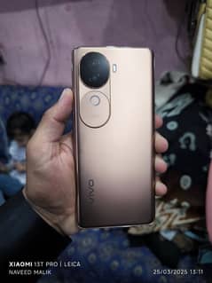 Vivo