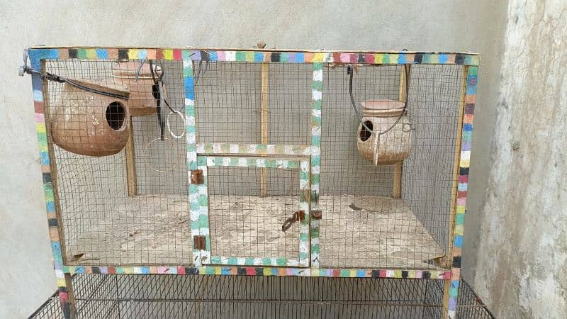 Australian Parrots 4