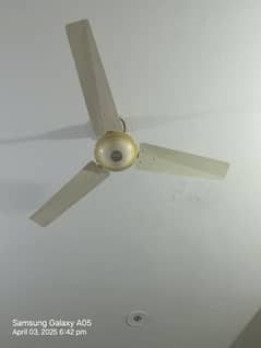 Celling