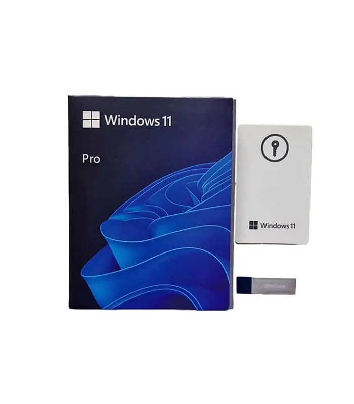 Microsoft Windows 11 Professional USB Retail (Pack) 2