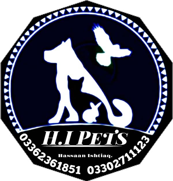 Husky Females available 5