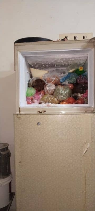 National Fridge 2