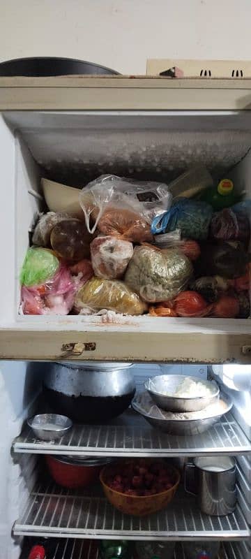 National Fridge 5