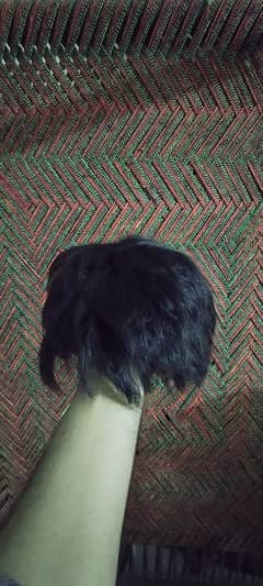 Hair