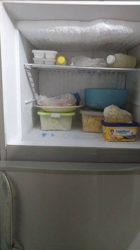 Refrigerator 1