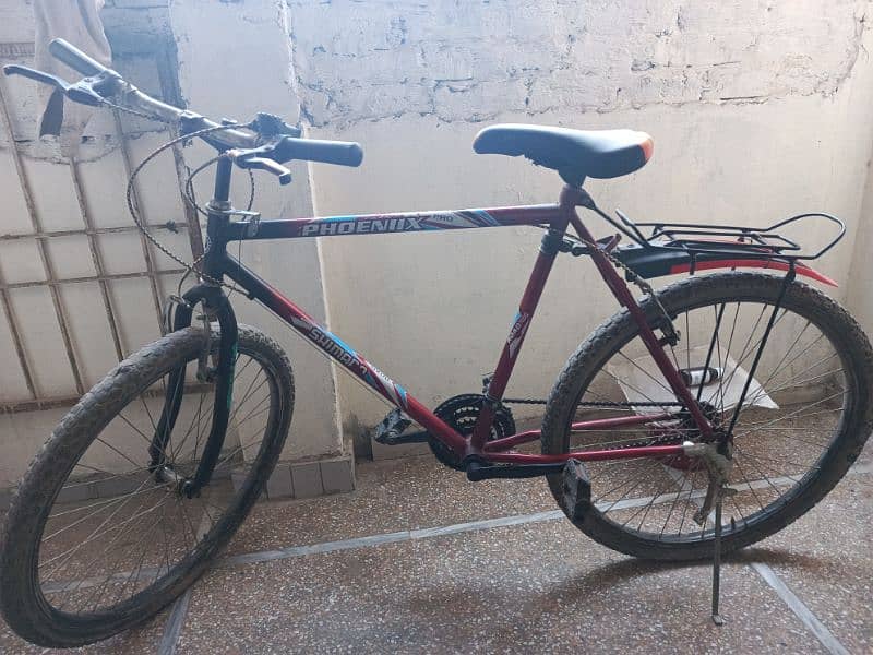 phoenix cycle 0