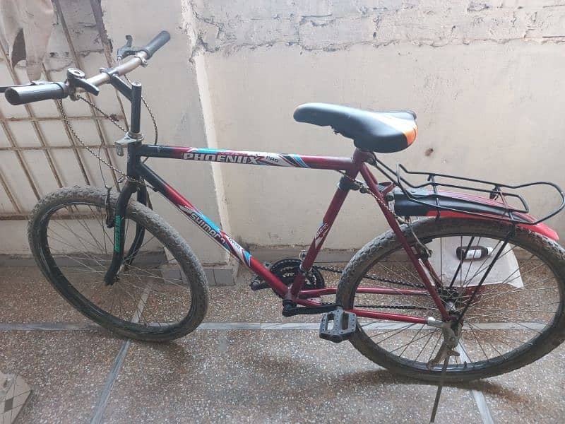 phoenix cycle 1