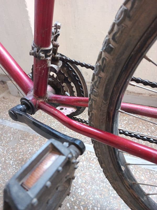 phoenix cycle 5