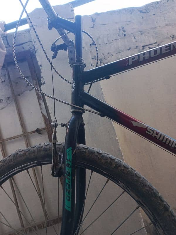 phoenix cycle 6