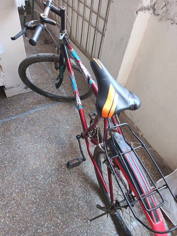 phoenix cycle 7